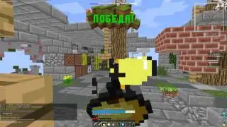 играю с другом на skywars team