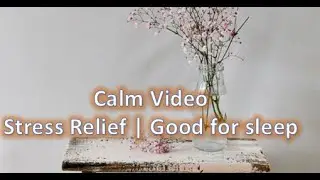 Calm Video Stress Relief | Good for sleep | ABC TV