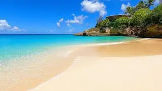 Rhythmic Wave Sounds From The Tropics