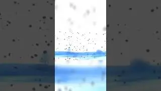 Смерть Коразона Ван Пис|One Piece