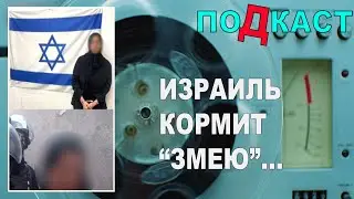 Израиль кормит "змею". Аудио-подкаст. 25/08/2024
