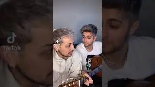 Samet Kardeşler ve Bilalgrass yeni TikTok videosu 