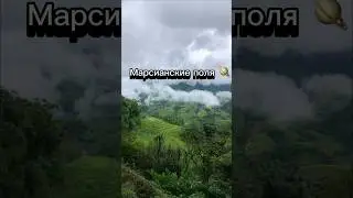 Такую красоту можно мало, где увидеть 😍🌾