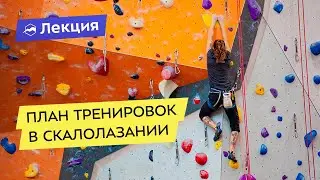 Как правильно выстроить тренировки в скалолазании