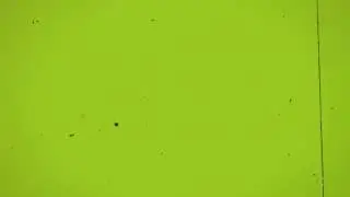 Green Screen Old Film Damage Nocopyrights