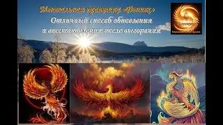 Ментальная практика «Феникс» Отличный способ обновления и восстановления после выгорания
