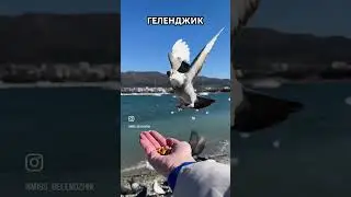 ГЕЛЕНДЖИК. ЛЕТО ЗИМОЙ!