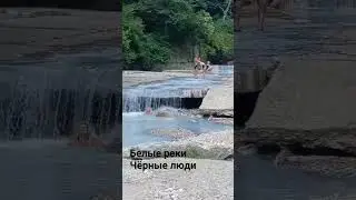 Тайные места Сочи. Сероводородные источники. Лечебная грязь/Дом в Сочи @domvsochi #shorts