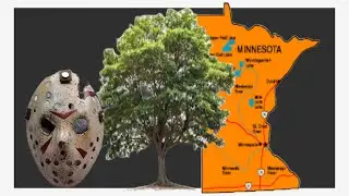 MINNESOTA WHATS OUT THERE? AND THE TREAD TO THE WEST