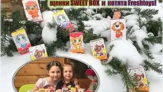 Распаковка сюрприз игрушки щенки SWEET BOX  и  котята Freshtoys!