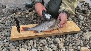 Как быстро почистить крупного ОКУНЯ/ Electric Fish Scaler