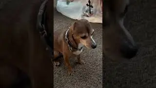 теперь похожи🤣