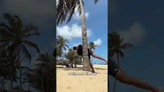 Efeito Criativo Pelo Celular📲