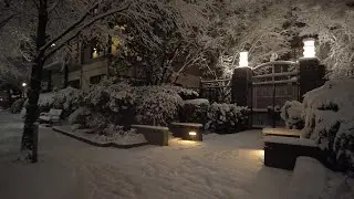 Portland Snowstorm Walk at Night, Pearl District