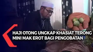 Haji Otong Ungkap Khasiat Terong Mini Mak Erot
