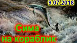 Сима на кораблик.