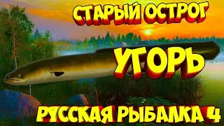 русская рыбалка 4 - Угорь озеро Старый Острог - рр4 фарм Алексей Майоров russian fishing 4