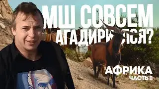Агадир: от видов с древней крепости захватывает дух!