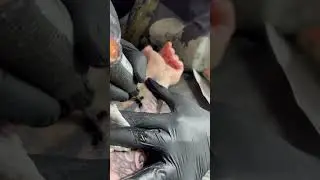 Процесс перекрытия тату