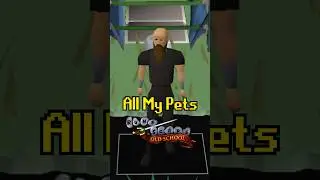 All My Current Pets on OSRS #osrs #gaming #runescape