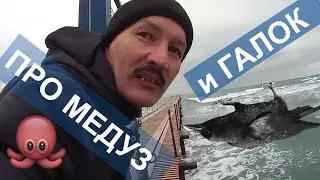 #МЕДУЗЫ