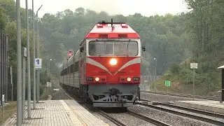 Тепловоз ТЭП70-0347 на о.п. Гарлява / TEP70-0347 at Garliava stop