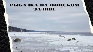 Рыбалка на финском заливе/20 минут пешком от дома