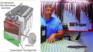 Costco vs Trojan 6 volt