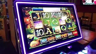 Wish Upon A Jackpot Action Pub Pie Gambles