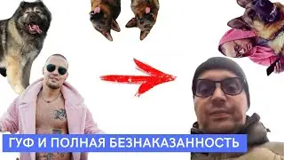 Гуф и неадекватность l Даже собаки не в безопасности