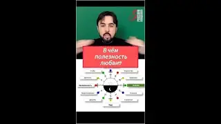 В чём полезность любви? 