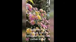 Отправить