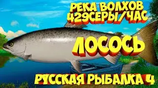 русская рыбалка 4 - Лосось река Волхов - рр4 фарм Алексей Майоров russian fishing 4