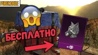 КАК ПОЛУЧИТЬ ГОЛОВУ ВОЛКА БЕСПЛАТНО В PUBG MOBILE | PUBG MOBILE БОЛЬШОЙ И СТРАШНЫЙ ВОЛК