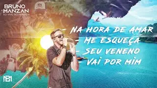 Bruno Manzan - Pot-pourri  Na hora de Amar / Me Esqueça / Seu Veneno / Vai por Mim