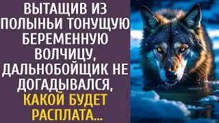 Вытащив из полыньи тонущую беременную волчицу, дальнобойщик даже не догадывался какой будет рас