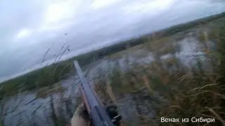 The long-awaited opening of duck hunting in Siberia 2018! Mr-153 shotgun!