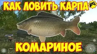 Русская рыбалка 4  КАРП   КОМАРИНОЕ ОЗЕРО   КАК ЛОВИТЬ ГАЙД