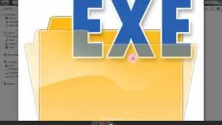 What is  .exe (file format)