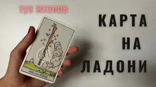ТУЗ ЖЕЗЛОВ • КАРТА НА ЛАДОНИ • Diva V.S / Виктория Штелльхорн