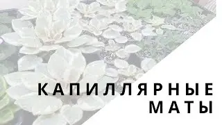 Как подготовить капиллярные маты к использовани. Фиалки на матах ч1
