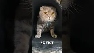 ART AND ARTIST
