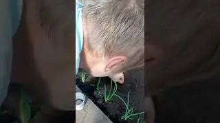 Говорил, поедем на дачу...говорил, будет весело... 