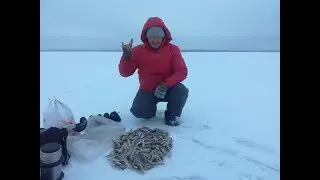 Суперблесна 50шт окуней с каждой лунки- без проблем, урок #1 готовим лунку