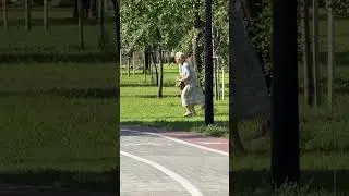 Сегодня в Киеве: Оболонский остров и фруктовый сад