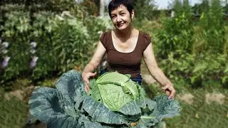 My hacienda. Garden, cottage and vegetable garden