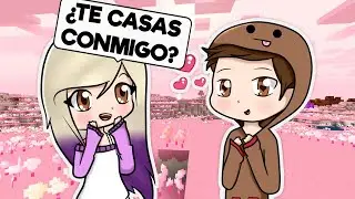 LE PIDO MATRIMONIO A DANI EN MINECRAFT