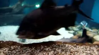 20190319 ух ты!