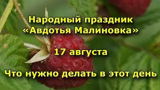 Народный праздник «Авдотья Малиновка». 17 августа. Что нужно делать в этот день