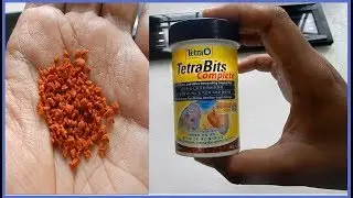 Fish Food | TetraBits complete review.